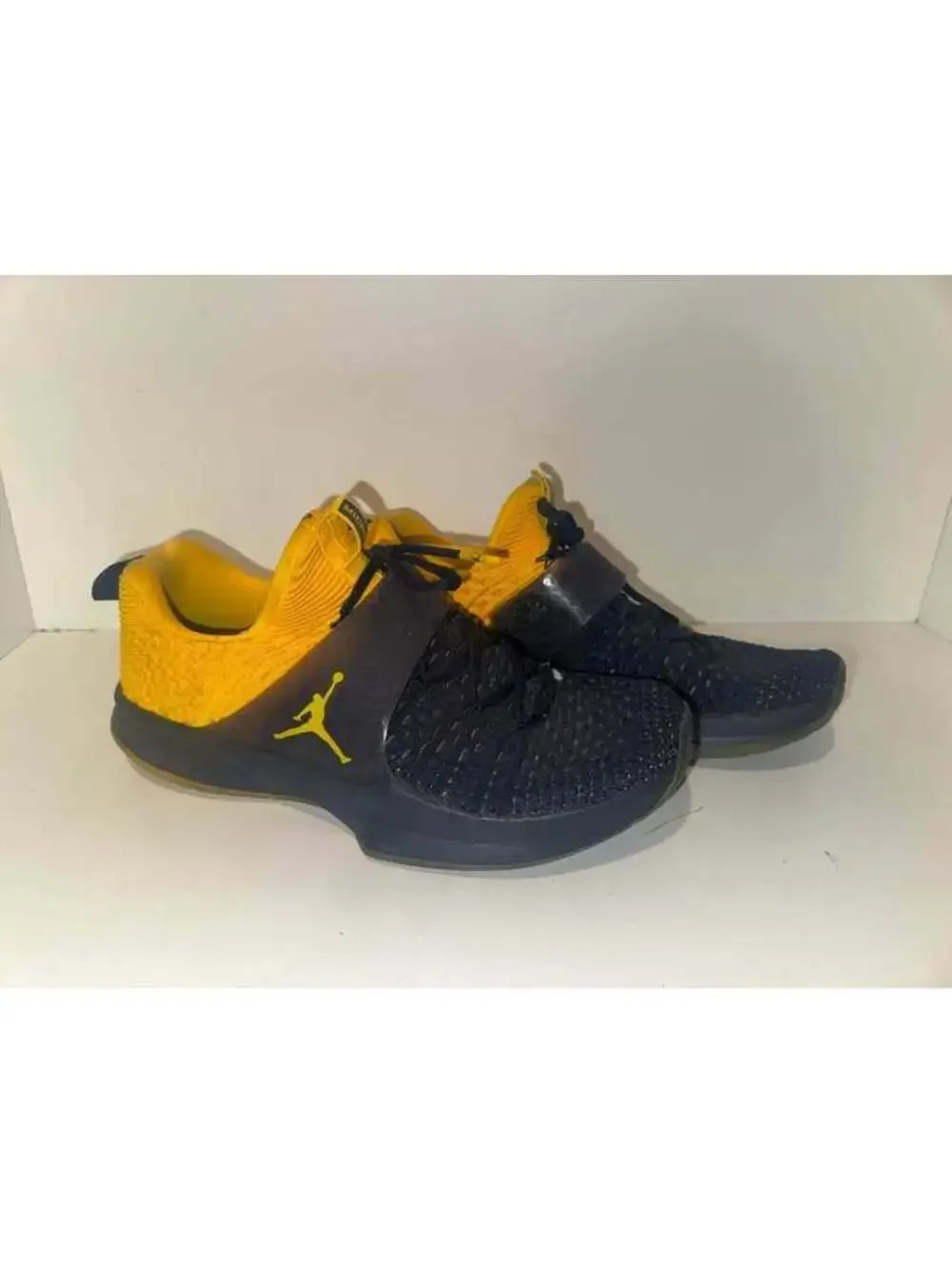 Team Issued Jordan Michigan Training Shoes Size 11